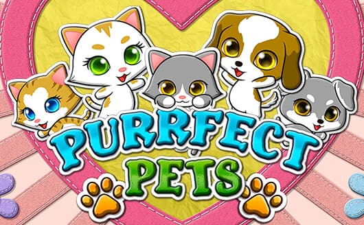 &https://sasgokil.com/39;Purrfect Pets&https://sasgokil.com/39;